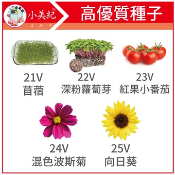 【小美紀】花 種子(園藝植作)苜蓿 紫蘿蔔芽 小番茄 波斯菊 向日葵 花苗 土壤種植 盆栽 種花 花架 介質花卉 蔬菜種子