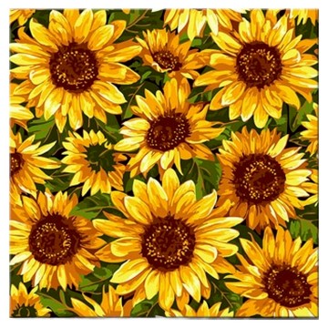 ADICO 帆布DIY名畫繪圖  1個  向日葵圖案