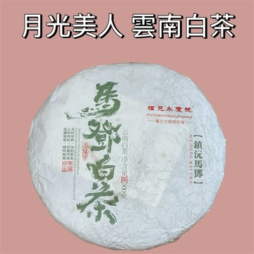 普洱茶葉 普洱茶餅 2023月光美人 普洱生茶 茶餅 茶葉 普洱茶專營 普洱茶批發 一手貨源
