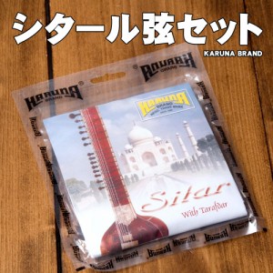 Karuna Brand シタール弦8本セット   交換弦 予備 SITAR ストリング 部品 民族楽器 インド楽器 エスニック楽器 ヒーリング楽器