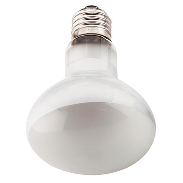 OTTO 建興水族 100W 爬蟲聚熱燈泡 Reptile Basking Spot Lamp UVA光波 平均使用壽命約3500小時  日光  1個