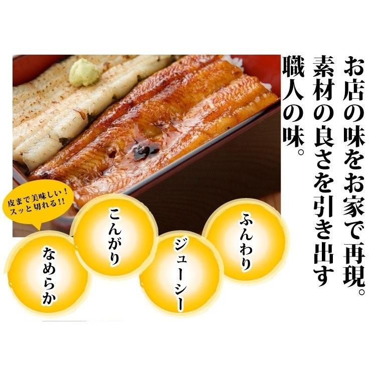 蒲焼き1本＆白焼き1本 国産 真空パック 浜名湖 長焼き 2人前  送料無料