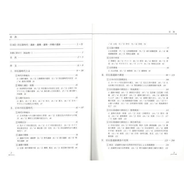 旧石器時代−考古調査ハンドブック９