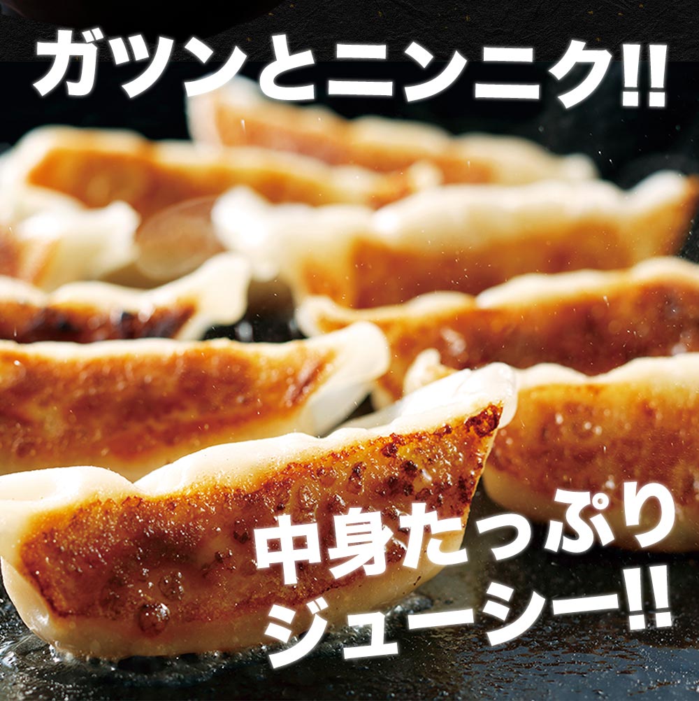 (メーカー希望小売価格2500円→2190円) 松軒中華食堂「餃子」5個×5パック 送料無料 レンジで完成 餃子 ぎょうざ ギョウザ 調理済 時短 保存食 お取り寄せ