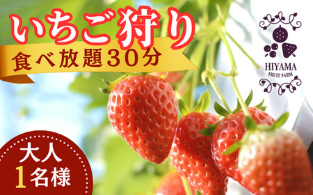 いちご狩り　食べ放題30分　大人１名様