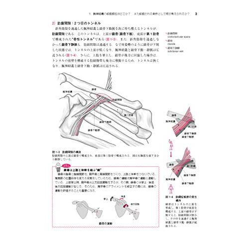 運動器疾患の なぜ がわかる臨床解剖学