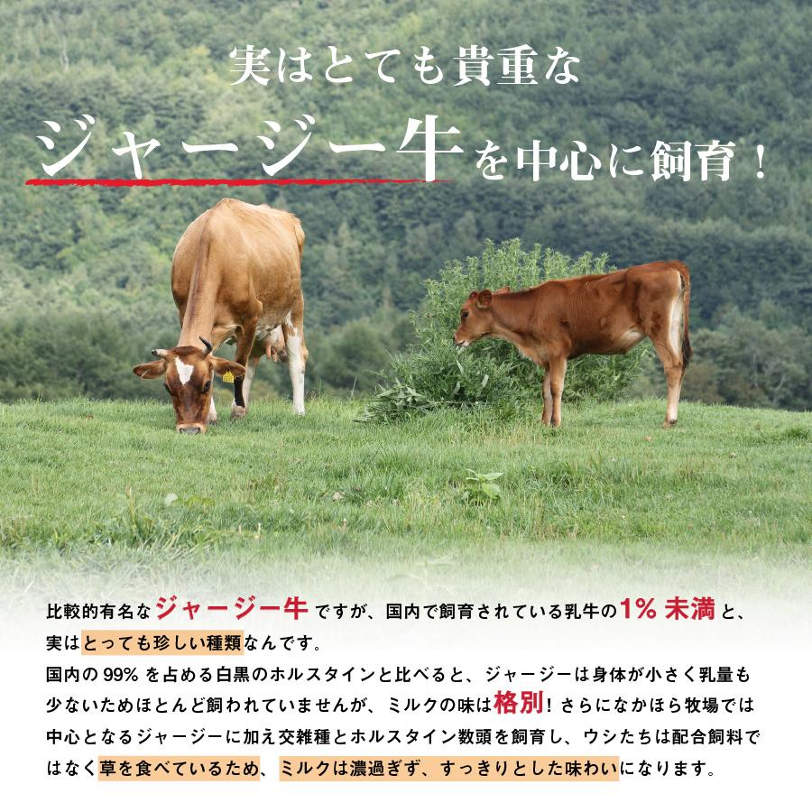 お歳暮 ギフト グラスフェッドバター 発酵＆ノーマル 国産 100g 食べ比べ バターコーヒー グラスフェッド 放牧 ［冷蔵便 冷凍同梱可］nov