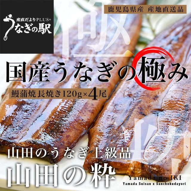 鹿児島県産 山田水産の極上国産うなぎ蒲焼「山田の粋（やまだのいき）」長焼（120g×4尾）送料無料 鰻蒲焼 ウナギ ※クール冷凍便