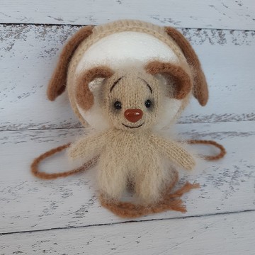 新生小狗套裝。新生狗帽和毛絨玩具小狗。新生兒拍照道具