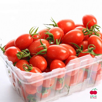 【舒果】台灣玉女番茄_約1斤/盒 (4盒/箱)