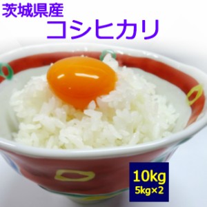 茨城県産 コシヒカリ　１０kg　 お取り寄せ　10キロ　 お米