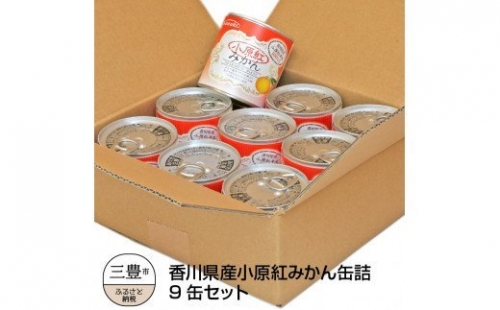 M08-0001_香川県産小原紅みかん缶詰　9缶セット