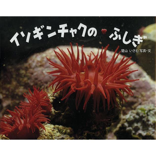 イソギンチャクのふしぎ 楚山いさむ 子供 絵本