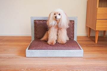 定做工業設計寵物床混凝土寵物沙發狗貓