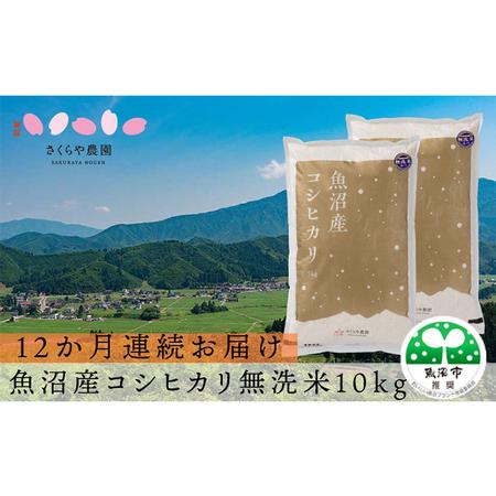 ふるさと納税 さくらや農園 魚沼産コシヒカリ  無洗米10kg（5kg×2）12か月連続お届け 新潟県魚沼市