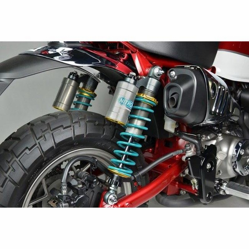 NITRON ナイトロン リアサスペンションツインショック TWIN R1