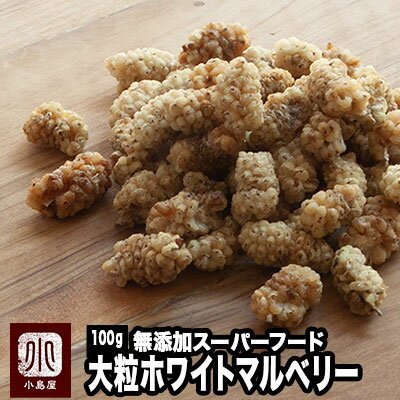 ドライフルーツ マルベリー ホワイトマルベリー 桑の実 イラン産 100g 無添加 砂糖不使用 スーパーフード