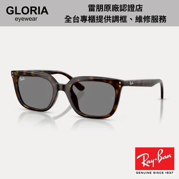Ray Ban｜RB4439D-710/87 方形膠框太陽眼鏡【葛洛麗雅眼鏡】