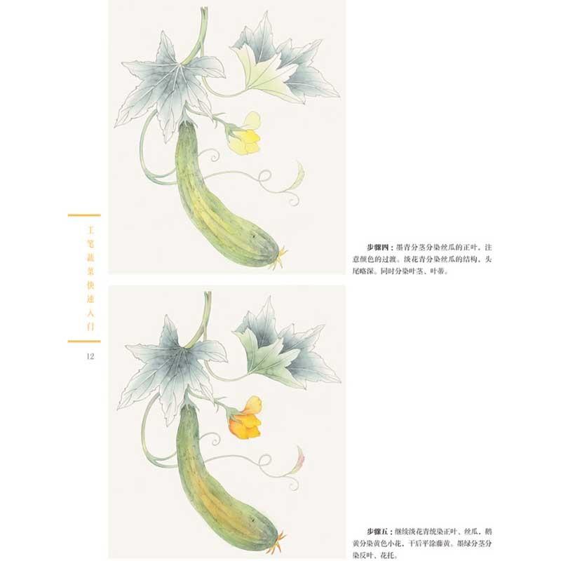 工筆野菜快速入門　一週一画　水墨画技法　中国絵画 工#31508;蔬菜快速入#38376;　一周一画