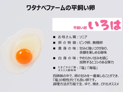 [平飼い卵30個×12か月連続定期便] 全体的に甘みとコクのある黄身｜矢板市産 こだわり卵 たまご 玉子 生卵 鶏卵 [0440]