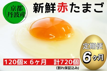 新鮮 卵 京都・丹波の赤たまご 120個（100個＋割れ保障20個）×6ヶ月 計720個 《生卵 たまご 鶏卵 小分け 半年間》