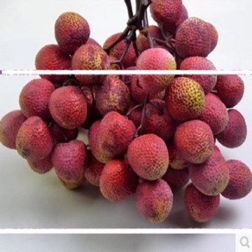 [協貿國際]   仿真荔枝