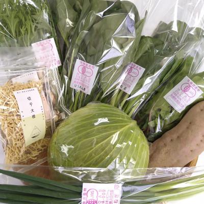 ふるさと納税 浜田市 弥栄町産野菜のおまかせセット