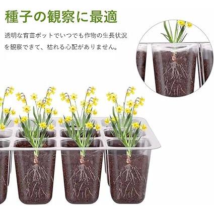 育苗ポット 3個セット 育苗トレイ 育苗箱 12穴 高くする透明カバー 種子トレイ 発芽 育苗セット 種まきハウス 種まき器 苗箱 育苗ボックス