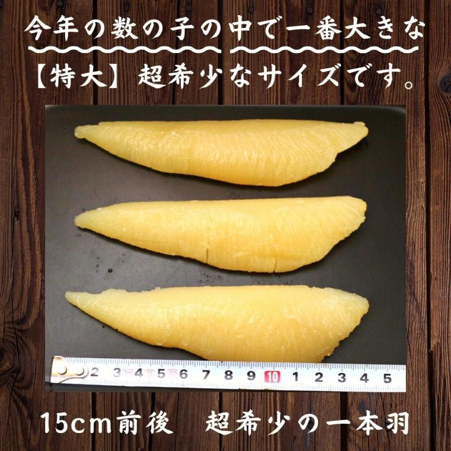 天然 塩数の子 アラスカ産 特大サイズ 1kg 送料無料 1本物 本ちゃん かずのこ カズノコ 大きい 最大級