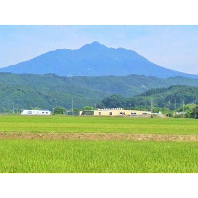 ふるさと納税 青森県鰺ヶ沢町産令和5年産 つがるロマン 白米 15kg（15kg×1袋） 青森県鰺ヶ沢町