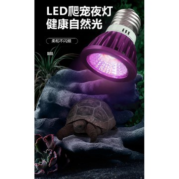 【台灣現貨 台灣專用110V】 模擬夜光爬蟲燈 夜光造景燈 爬蟲燈 夜燈 寵物觀察燈 爬蟲夜燈 蜘蛛 守宮 蝎子 夜行