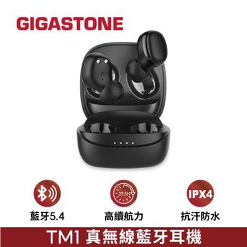 Gigastone TM1 真無線藍牙耳機 藍牙5.3低延遲耳機 ENC通話降噪 運動耳機 黑色白色 DTM1