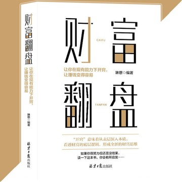 【正版速發】財富翻盤 琳恩○著『讓你在現有能力下開竅 讓賺錢變得容易 看透財富的底層邏輯 形成全新的財富思維』