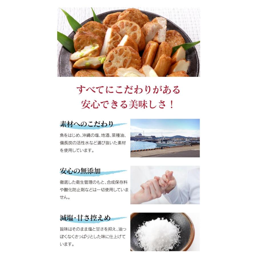 さつま揚げ ギフトセット 送料無料 10種類 40枚 さつまあげ 鹿児島 プレゼント 大嶌屋（おおしまや）