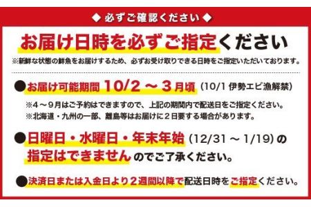 活伊勢エビ 約700gセット （２〜３尾）《10月12日～4月期間限定出荷：先行予約も可（到着日時指定必須商品）》　HA-45