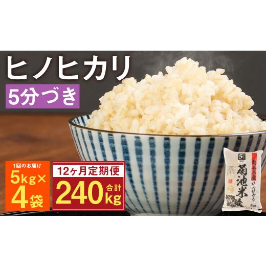 ふるさと納税 熊本県 菊池市 熊本県菊池産 ヒノヒカリ 5kg×4袋×12回 計240kg 5分づき米 お米 分づき米