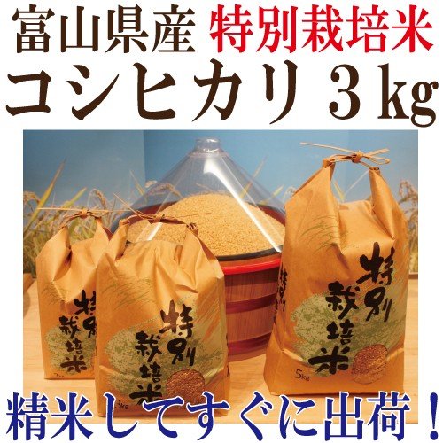 令和５年度産　富山県産 特別栽培米　コシヒカリ 玄米３ｋｇ