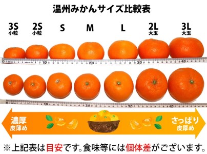 ZA94072_田村みかん 約10kg(Lサイズ)