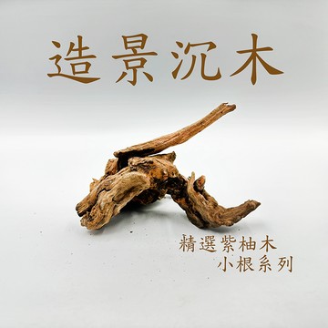 PJ小舖 造景沉木 水族造景木頭 園藝裝飾木 沈木 紫柚木 水草缸天然造景木 流木 爬蟲造景缸