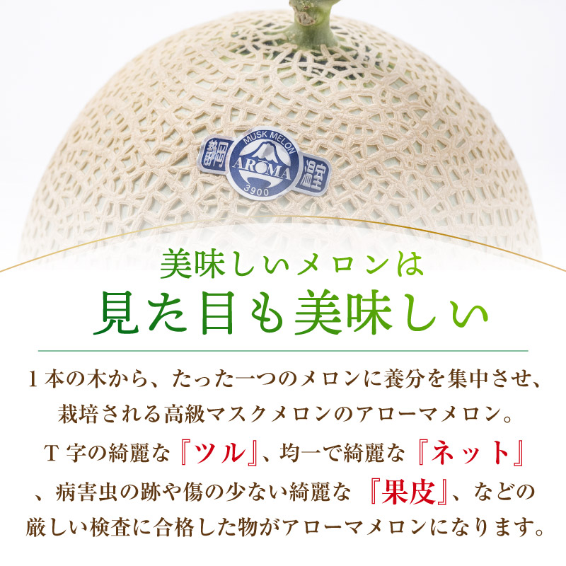 [最短順次発送]  アローマメロン 赤肉 アールスメロン 各1玉 計2玉 静岡県産ほか メロン マスクメロン 秋ギフト 夏ギフト お中元 御中元