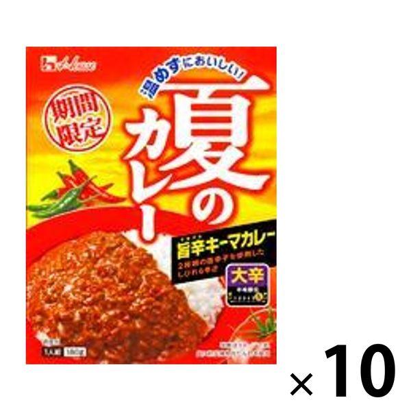 ハウス食品ハウス食品 温めずにおいしい！夏のカレー 旨辛キーマカレー 大辛 10個