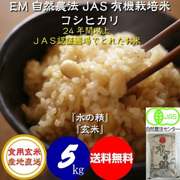 令和5年産 新米 無農薬 有機米 コシヒカリ食用玄米 ５ｋｇ 水の精 JAS認証 ＥＭ自然農法