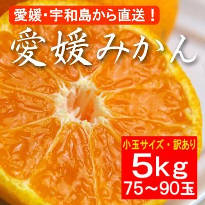 お歳暮ギフト2023にも！ 訳あり・小粒バージョン・愛媛産みかん5ｋｇ(約75〜90玉)