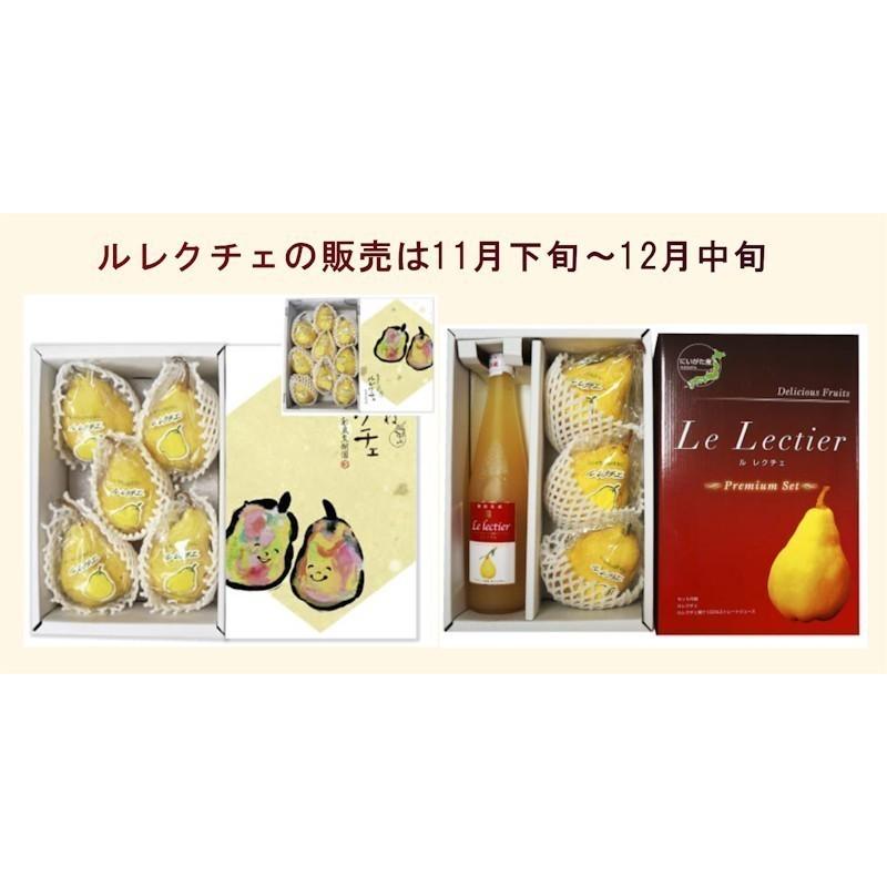 フルーツ 梨 洋梨 ル・レクチェ 新潟県白根 梨栽培農家 和泉果樹園 有機質肥料栽培 ルレクチェ 2kg(5個〜7個）化粧箱入 送料無料