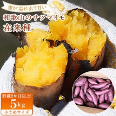 和歌山のサツマイモ在来種　小さめサイズ5kg
