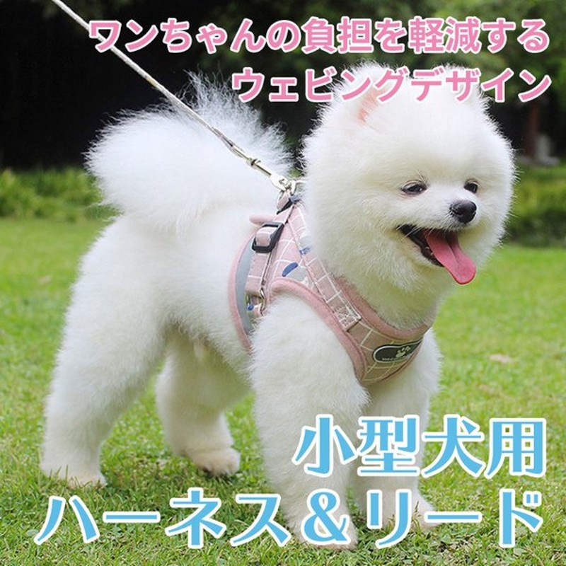 セール＆特集＞ ハーネス 犬 おしゃれ かわいい 胴輪 リード 首輪 小型犬 中型犬 脱げない 簡単 散歩 お出かけ ペット 光る ドッグ  discoversvg.com