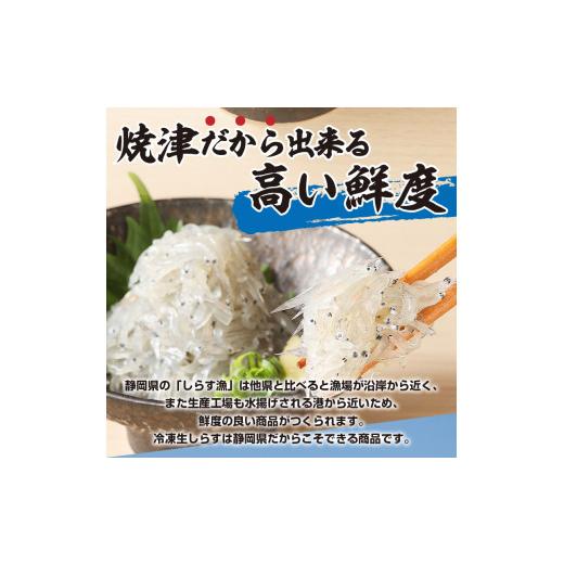 ふるさと納税 静岡県 焼津市 a10-419　静岡県漁連 お刺身用冷凍生しらす