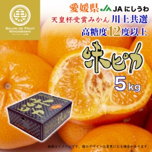 [予約 2023年12月1日-12月25日の納品] 味ピカ 約5kg 愛媛県 JAにしうわ 西宇和川上共選 天皇杯受賞 高糖度 ギフト 高級箱買い 産地箱