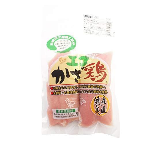 国産 鶏肉　エコかざ鶏　鶏ささみ　300g　10パック　　送料込