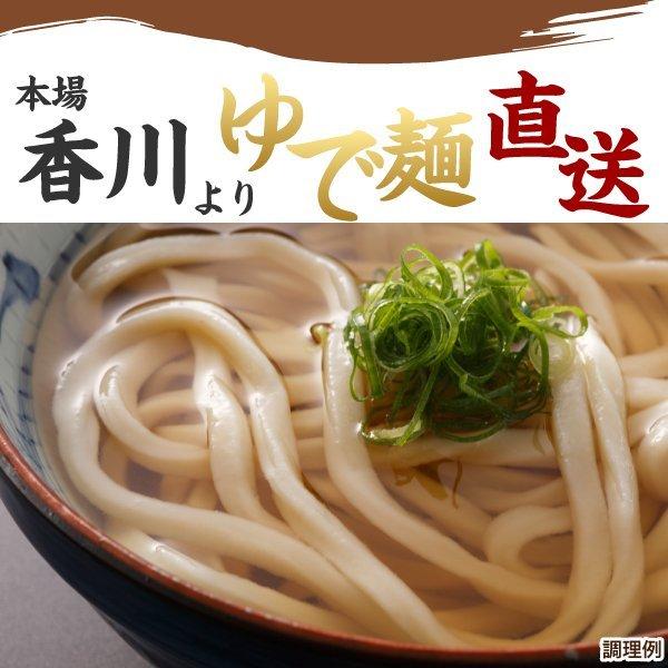 さぬき麺心 麺屋どんまい 讃岐のカレーうどん 1食 (カレーソース付き)